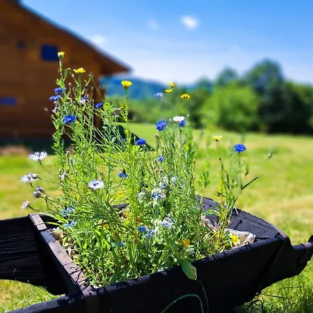 Zrubovy Dom Na Samote - *