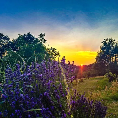 Chalet Zrubovy Dom Na Samote -