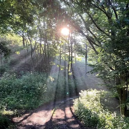 Chalet Zrubovy Dom Na Samote - *