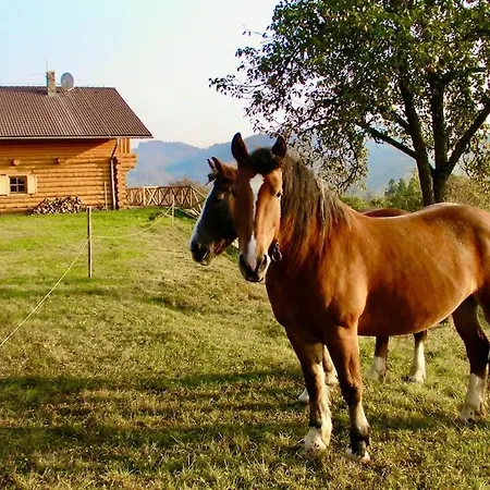 Zrubovy Dom Na Samote -