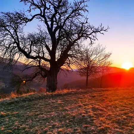 Zrubovy Dom Na Samote - *