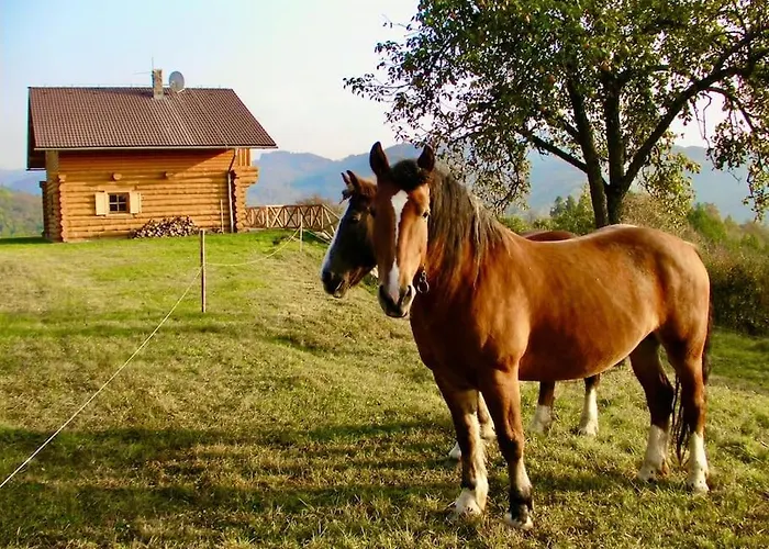 Zrubovy Dom Na Samote -